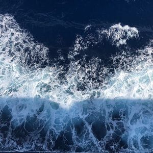 Meet your Posher, Kennady